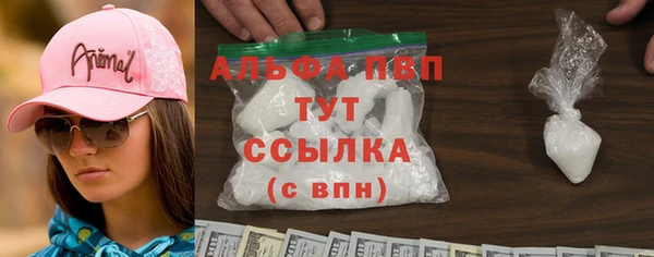 твердый Магас