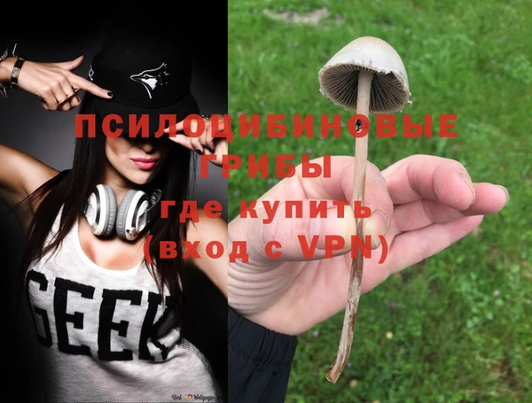 COCAINE Медногорск