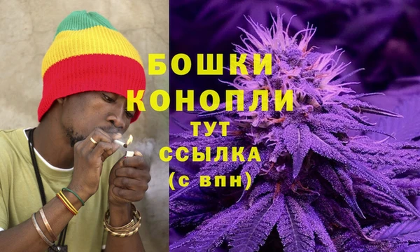 ГАЛЛЮЦИНОГЕННЫЕ ГРИБЫ Мегион