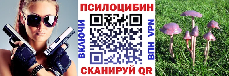 Купить закладки  Алексеевка  Псилоцибиновые грибы Magic Shrooms 